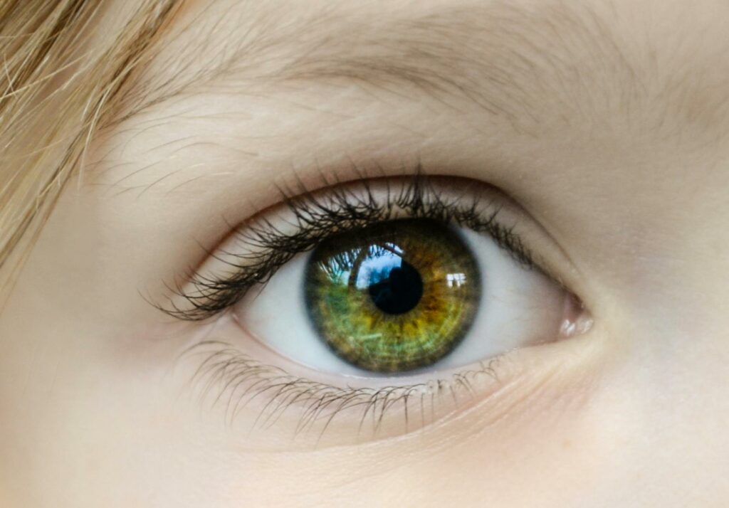 Detailed close-up of a child's green eye, highlighting the iris and natural eyelashes.